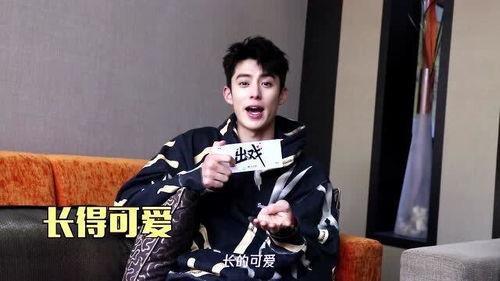 王鹤棣宋伊人最新爆料消息,甜蜜互动引粉丝热议  第2张